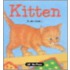 Kitten