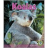 Koalas door Joelle Riley