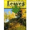 Leaves by Lynn M. Stone
