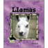 Llamas
