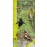 Vogelzang in beeld