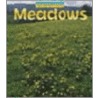 Meadow door Richard Spilsbury