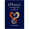 Merlin door R.J. Stewart