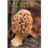 Morels by Michael Kuo