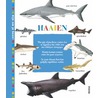 Haaien