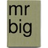 Mr Big