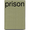 Prison by Sr. Chris Leo