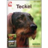 Teckel door J. Steijns