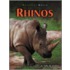 Rhinos