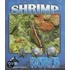 Shrimp