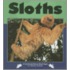 Sloths