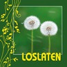 Loslaten door Ulrike Hartung