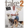Take 2 by Joel Silverman