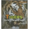 Tigers by Amelie Von Zumbusch