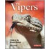 Vipers