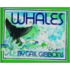 Whales