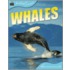 Whales