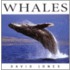 Whales