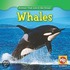 Whales