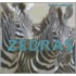 Zebras