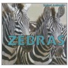 Zebras door Amelie Von Zumbusch