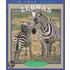 Zebras