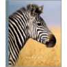 Zebras door Sophie Lockwood
