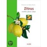 Zitrus by Bénédicte Bachés