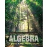Algebra door William G. McCallum