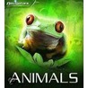 Animals by Miranda Smith