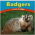 Badgers