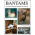 Bantams