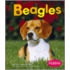 Beagles