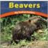 Beavers
