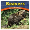 Beavers by Jody Sullivan Rake