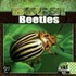 Beetles