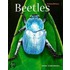 Beetles