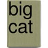 Big Cat
