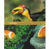 Biology