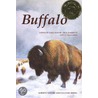 Buffalo by John Foster
