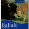 Buffalo door Phyllis Jean Perry