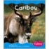 Caribou