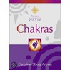 Chakras by Caroline Shola Arewa