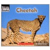 Cheetah door Edana Eckart