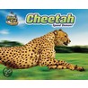 Cheetah door Natalie Lunis