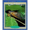 Cicadas by Ann O. Squire