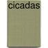 Cicadas