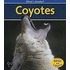 Coyotes