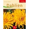 Dahlien by Bettina Verbeek