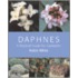 Daphnes